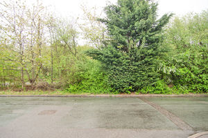 Photo 24- click for photo gallery